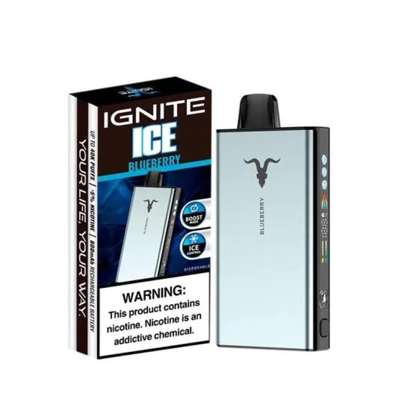 Ignite V400 - 40.000 Puff - Blueberry Ice